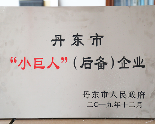 Dandong Small Giant Enterprise