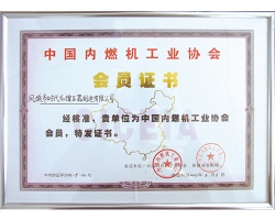Member Unit of China Internal Combustion Engine Industry Association in 2013