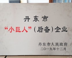 Dandong Small Giant Enterprise